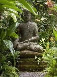 Bali, Ubud, a Statue of buddha Sits Serenely in Gardens-Niels Van Gijn-Photographic Print