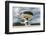 Niemeyer Center Building, in Aviles, Spain-Carlos Sanchez Pereyra-Framed Photographic Print