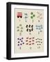 Nifty Numbers - Total-Lisa Stickley-Framed Giclee Print