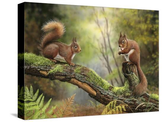 Stretched Canvas Print, , large