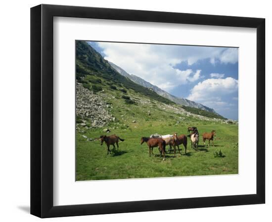 Premium Photographic Print, , large