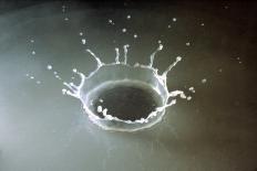 Coronet of droplets formed as a white coloured droplet falls into a shallow liquid-Nigel Cattlin-Stretched Canvas