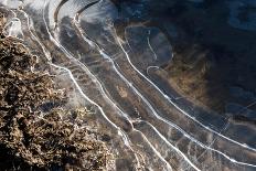 Puddles in Deep Tractor Ruts Frozen on a Cold Bright Winter Morning in January, West Berkshire-Nigel Cattlin-Photographic Print