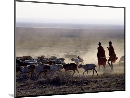 Photographic Print, , large