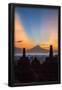 Essential Black