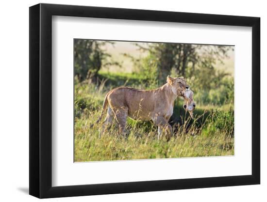 Premium Photographic Print, , large