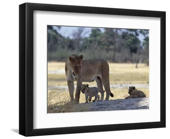 Photographic Print, , large