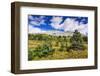 Nigel Peak from Wilcox Ridge, Columbia Icefields, Jasper National Park, Alberta, Canada-Russ Bishop-Framed Photographic Print