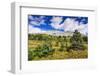 Nigel Peak from Wilcox Ridge, Columbia Icefields, Jasper National Park, Alberta, Canada-Russ Bishop-Framed Photographic Print