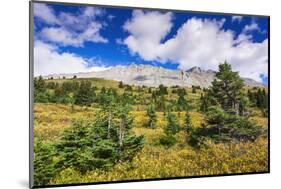 Nigel Peak from Wilcox Ridge, Columbia Icefields, Jasper National Park, Alberta, Canada-Russ Bishop-Mounted Photographic Print