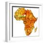 Niger on Actual Map of Africa-michal812-Framed Art Print