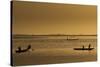 Niger River, Mali-Art Wolfe-Stretched Canvas