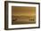 Niger River, Mali-Art Wolfe-Framed Photographic Print