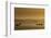 Niger River, Mali-Art Wolfe-Framed Photographic Print