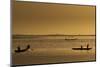 Niger River, Mali-Art Wolfe-Mounted Photographic Print