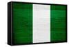 Nigeria Flag Design with Wood Patterning - Flags of the World Series-Philippe Hugonnard-Framed Stretched Canvas