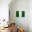 Nigeria Flag Design with Wood Patterning - Flags of the World Series-Philippe Hugonnard-Art Print displayed on a wall