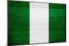 Nigeria Flag Design with Wood Patterning - Flags of the World Series-Philippe Hugonnard-Mounted Art Print