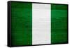 Nigeria Flag Design with Wood Patterning - Flags of the World Series-Philippe Hugonnard-Framed Stretched Canvas