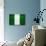 Nigeria Flag Design with Wood Patterning - Flags of the World Series-Philippe Hugonnard-Art Print displayed on a wall