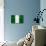 Nigeria Flag Design with Wood Patterning - Flags of the World Series-Philippe Hugonnard-Stretched Canvas displayed on a wall