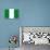 Nigeria National Flag Poster Print-null-Poster displayed on a wall