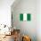 Nigeria National Flag Poster Print-null-Poster displayed on a wall