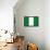 Nigeria National Flag Poster Print-null-Framed Poster displayed on a wall