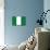 Nigeria National Flag Poster Print-null-Mounted Poster displayed on a wall