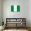 Nigeria National Flag-null-Art Print displayed on a wall