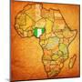 Nigeria on Actual Map of Africa-michal812-Mounted Art Print