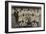 Nigeria's Football Team-null-Framed Photographic Print