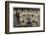 Nigeria's Football Team-null-Framed Photographic Print