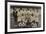 Nigeria's Football Team-null-Framed Photographic Print