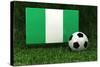 Nigeria Soccer-badboo-Stretched Canvas