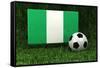 Nigeria Soccer-badboo-Framed Stretched Canvas