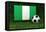 Nigeria Soccer-badboo-Framed Stretched Canvas