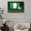 Nigeria Soccer-badboo-Framed Stretched Canvas displayed on a wall