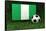 Nigeria Soccer-badboo-Framed Stretched Canvas