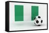 Nigeria Soccer-badboo-Framed Stretched Canvas