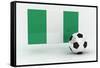 Nigeria Soccer-badboo-Framed Stretched Canvas