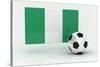 Nigeria Soccer-badboo-Stretched Canvas