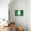 Nigerian Flag-daboost-Framed Stretched Canvas displayed on a wall