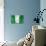 Nigerian Flag-daboost-Stretched Canvas displayed on a wall