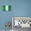 Nigerian Flag-daboost-Stretched Canvas displayed on a wall