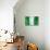 Nigerian Flag-daboost-Stretched Canvas displayed on a wall