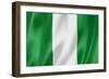 Nigerian Flag-daboost-Framed Premium Giclee Print