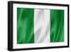 Nigerian Flag-daboost-Framed Premium Giclee Print