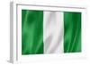 Nigerian Flag-daboost-Framed Premium Giclee Print