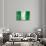 Nigerian Flag-daboost-Stretched Canvas displayed on a wall